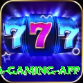 basant Mega Gaming App