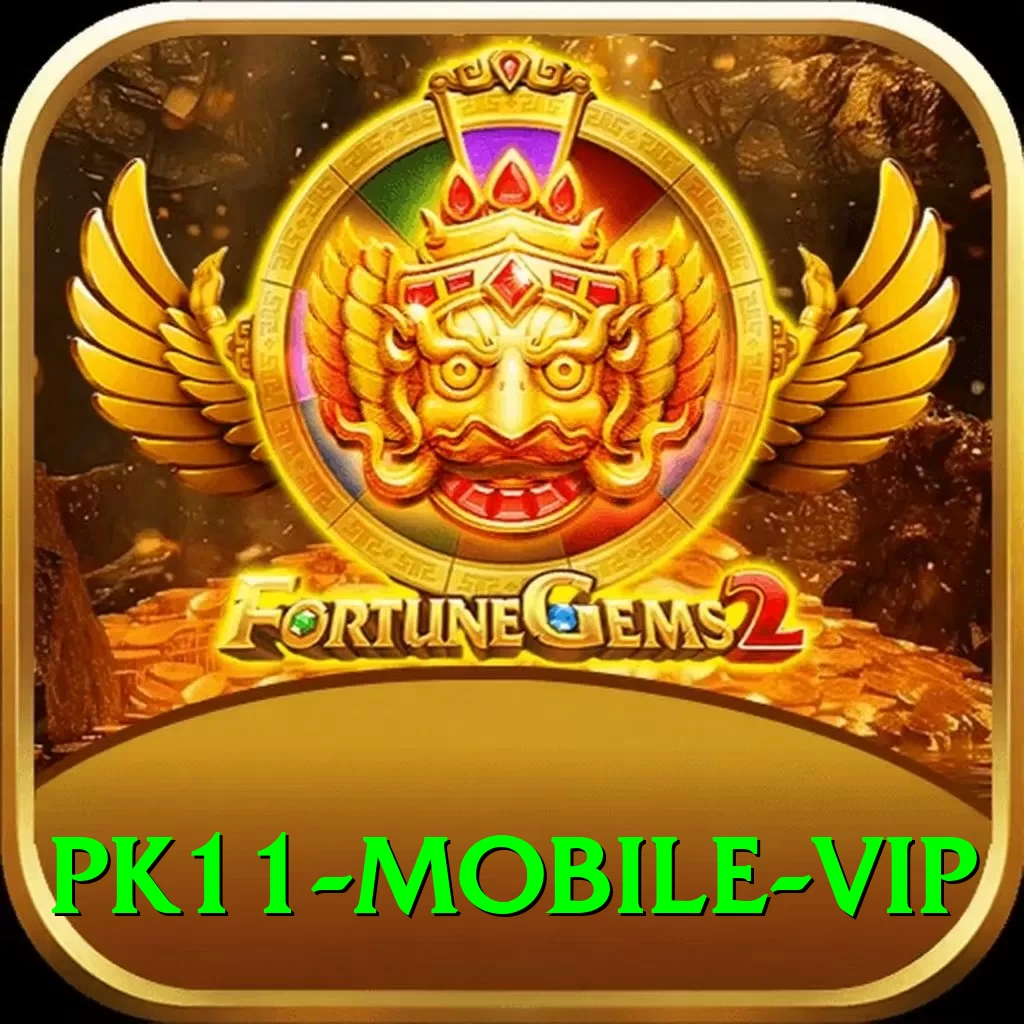 pk11 Mobile VIP - 2